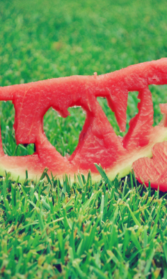 Screenshot №1 pro téma Watermelon Love 240x400