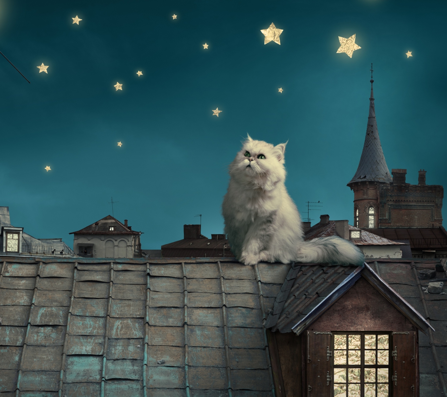 Cat World wallpaper 1440x1280