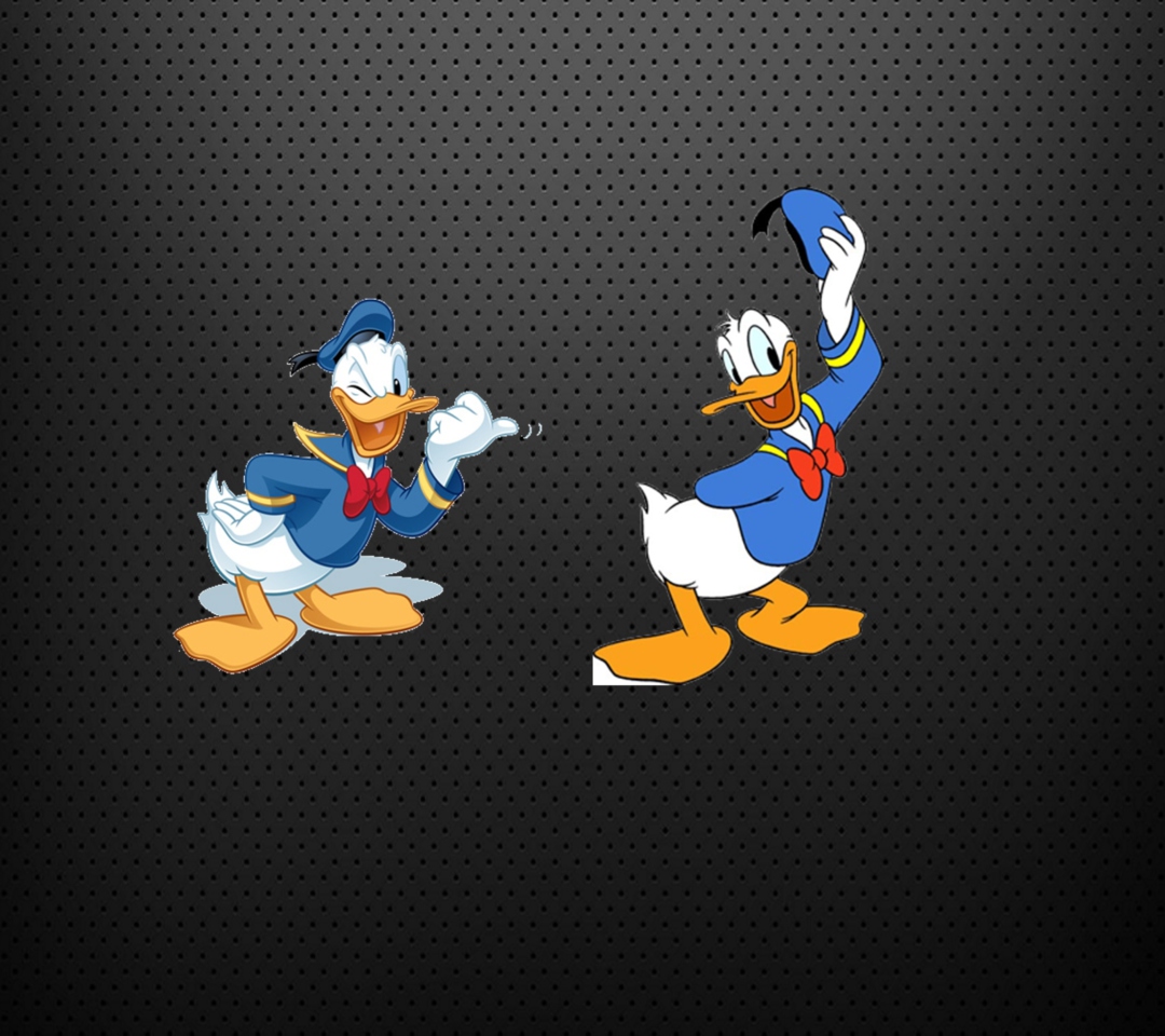 Обои Donald Duck 1080x960