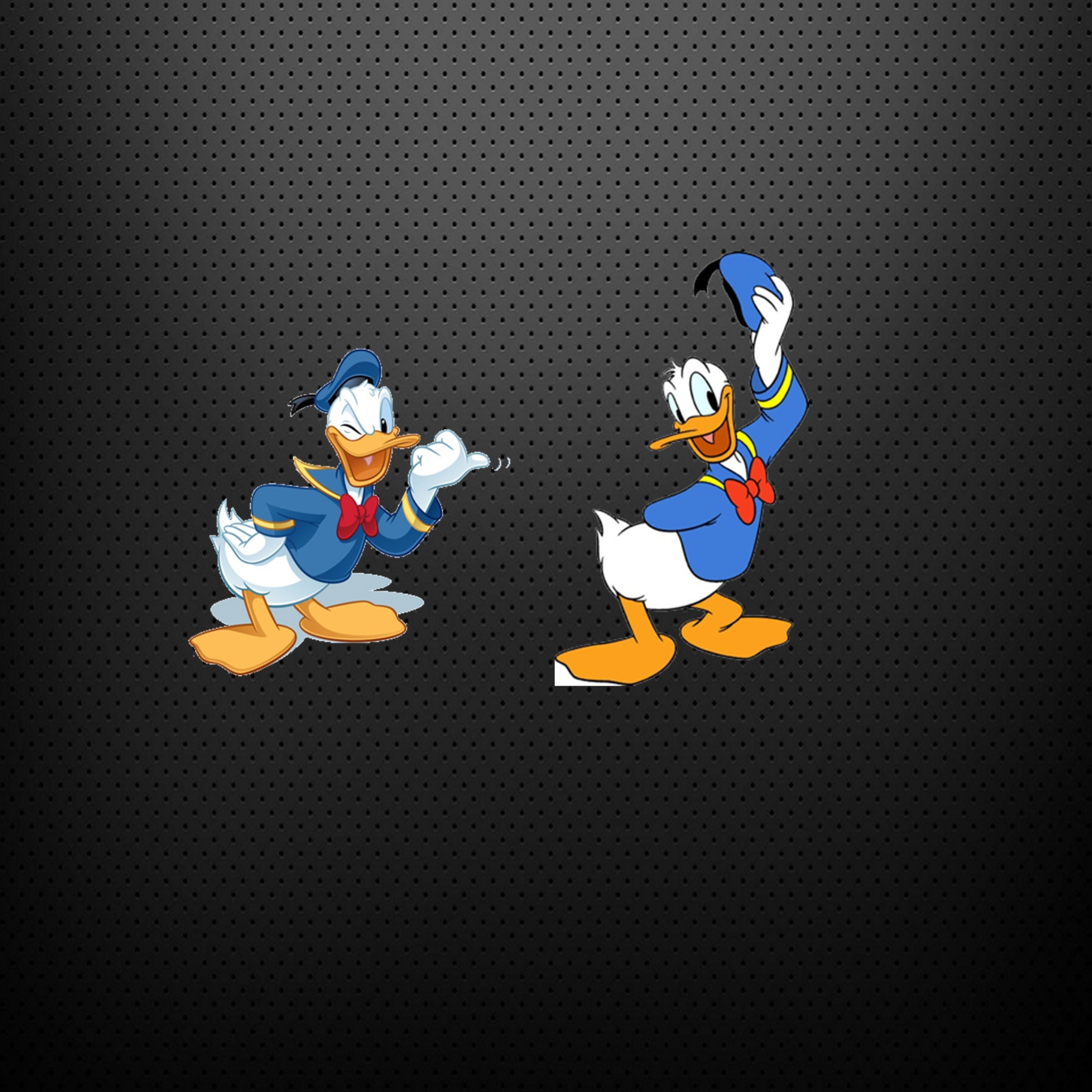 Das Donald Duck Wallpaper 2048x2048