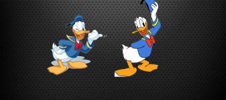 Fondo de pantalla Donald Duck 720x320