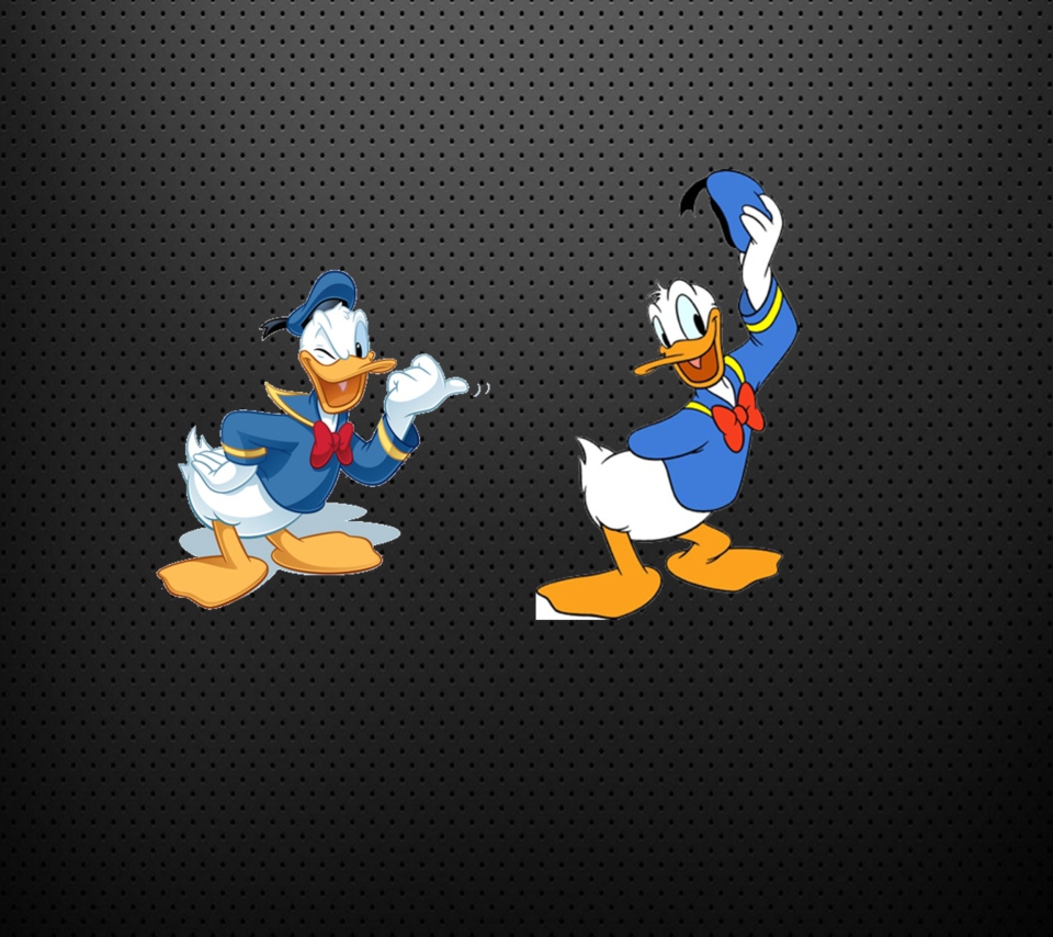 Fondo de pantalla Donald Duck 960x854