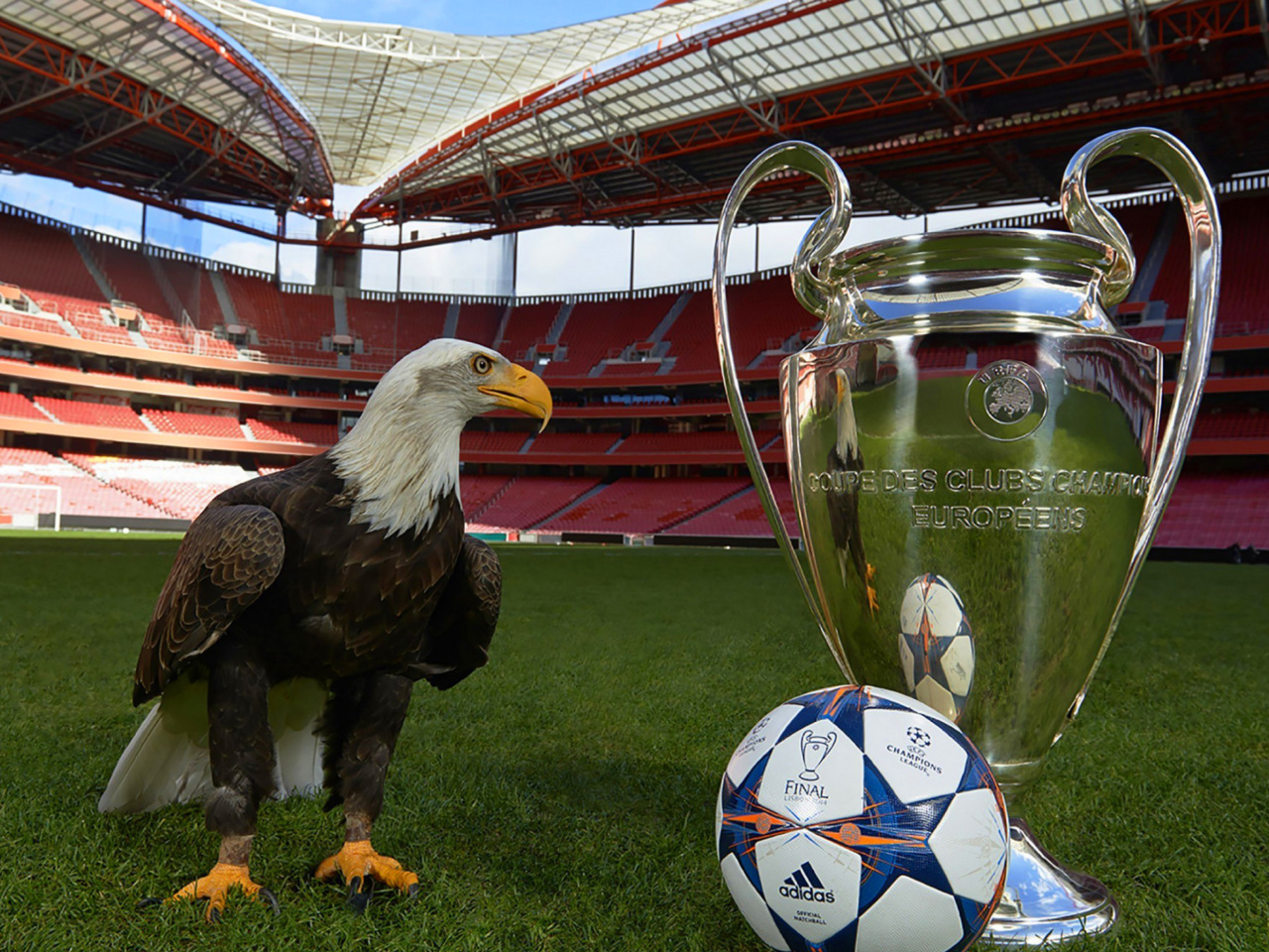 Estadio da Luz with UEFA Euro Cup wallpaper 1280x960