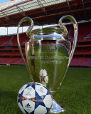 Sfondi Estadio da Luz with UEFA Euro Cup 128x160