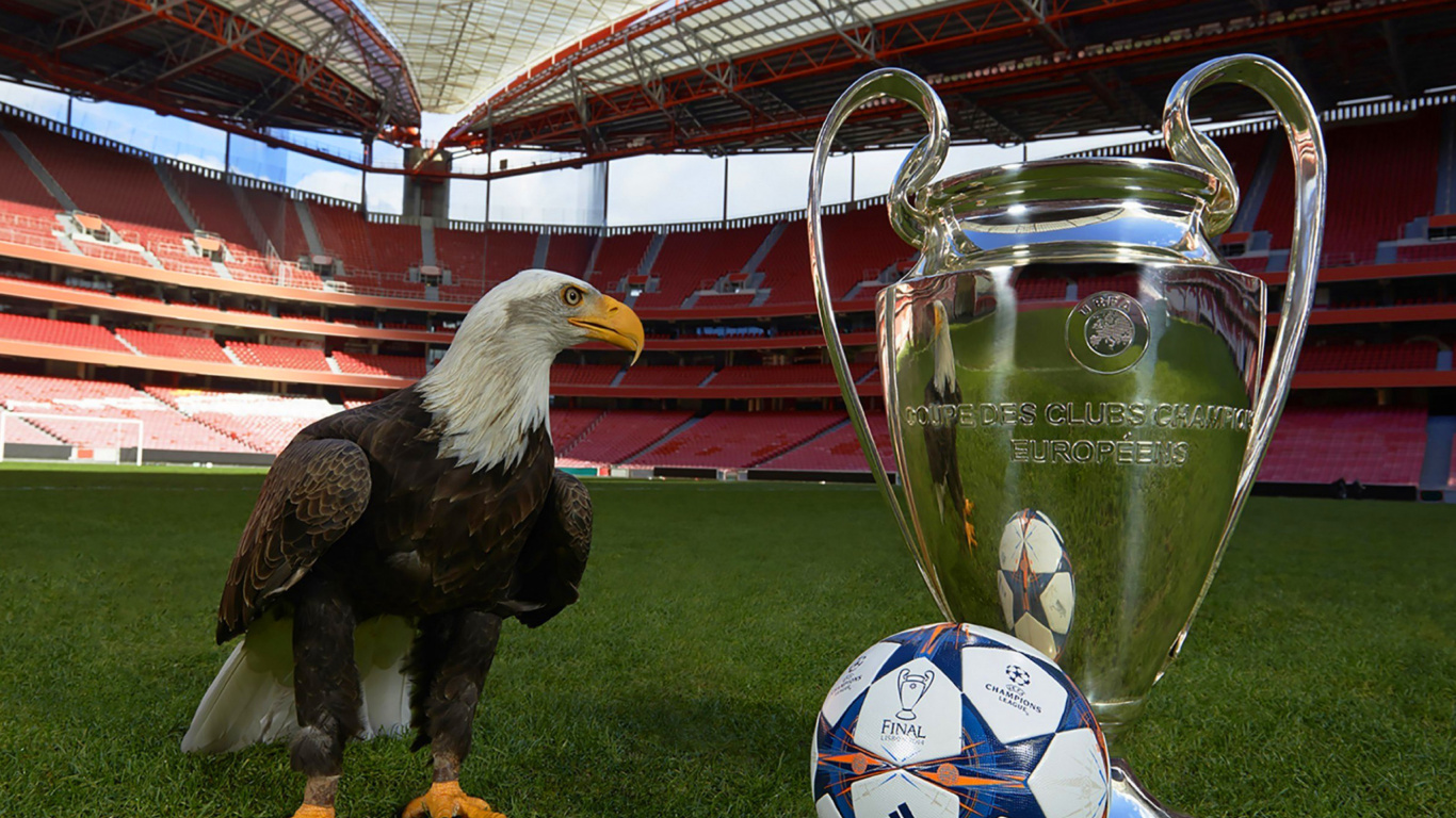 Обои Estadio da Luz with UEFA Euro Cup 1366x768