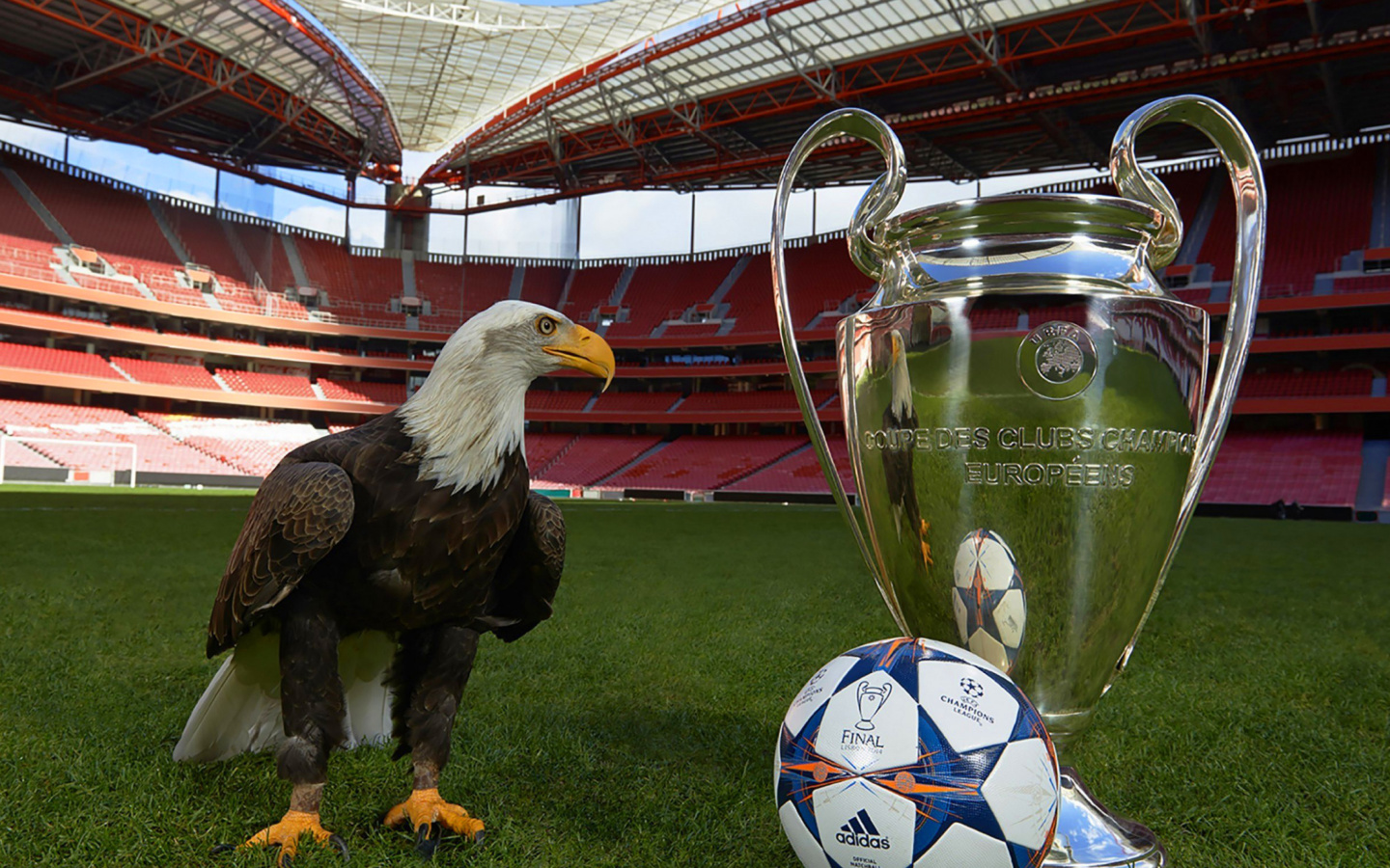 Sfondi Estadio da Luz with UEFA Euro Cup 1440x900