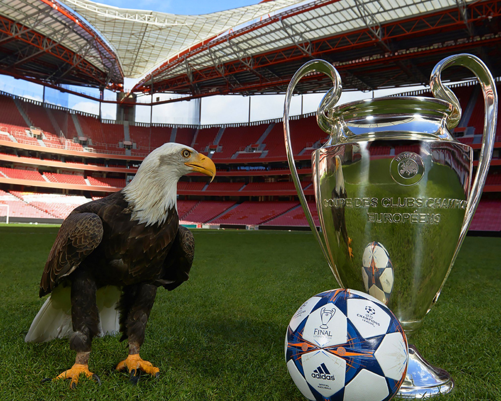 Screenshot №1 pro téma Estadio da Luz with UEFA Euro Cup 1600x1280