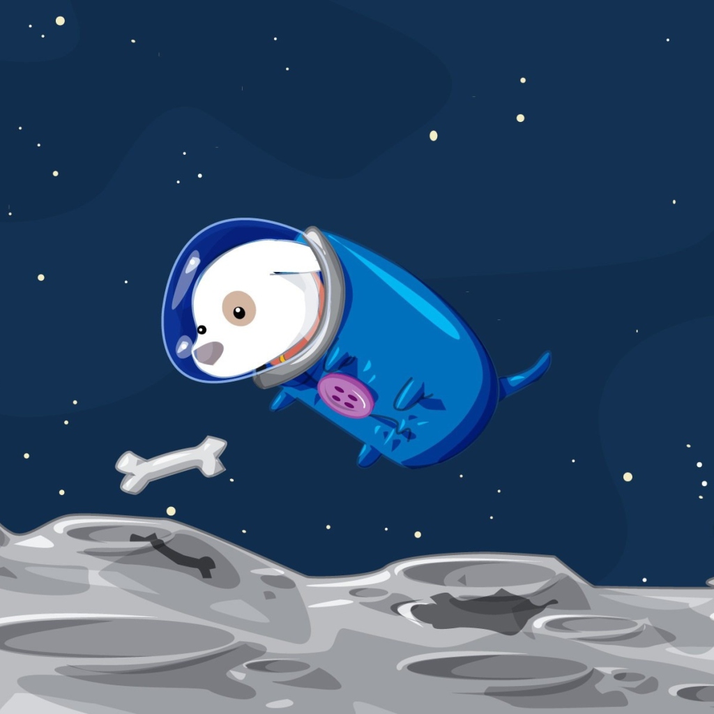 Space Dog wallpaper 1024x1024