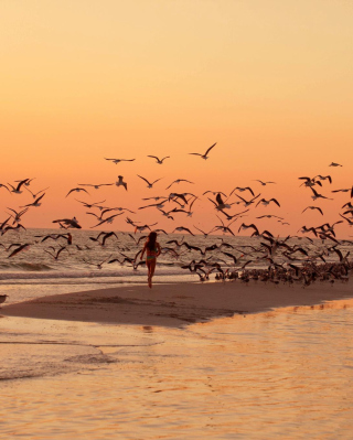 Walk With Seagulls - Obrázkek zdarma pro iPhone 5S