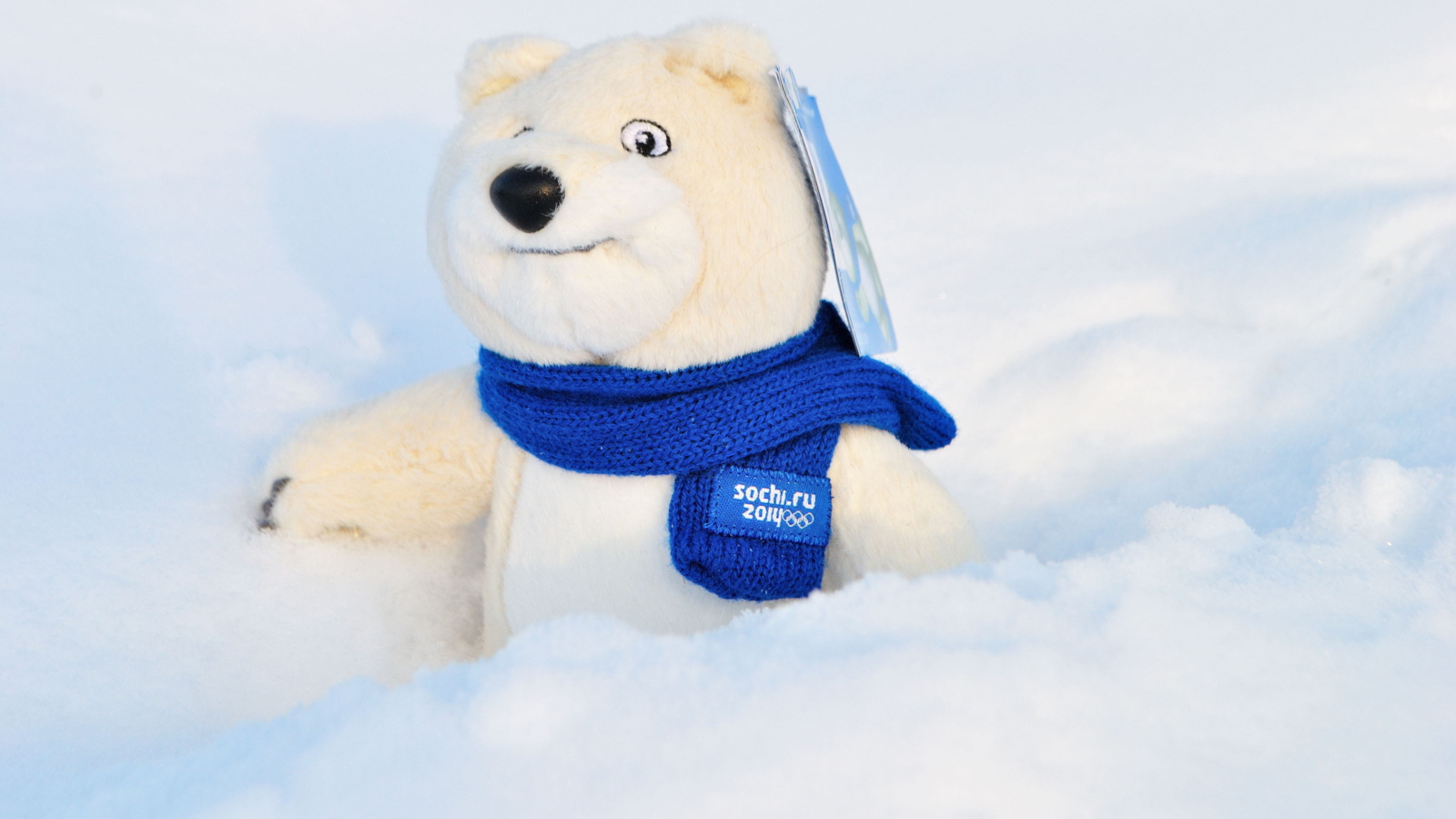 Screenshot №1 pro téma Winter Olympics Teddy Bear Sochi 2014 1600x900