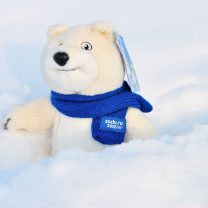 Screenshot №1 pro téma Winter Olympics Teddy Bear Sochi 2014 208x208