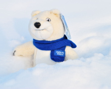 Обои Winter Olympics Teddy Bear Sochi 2014 220x176