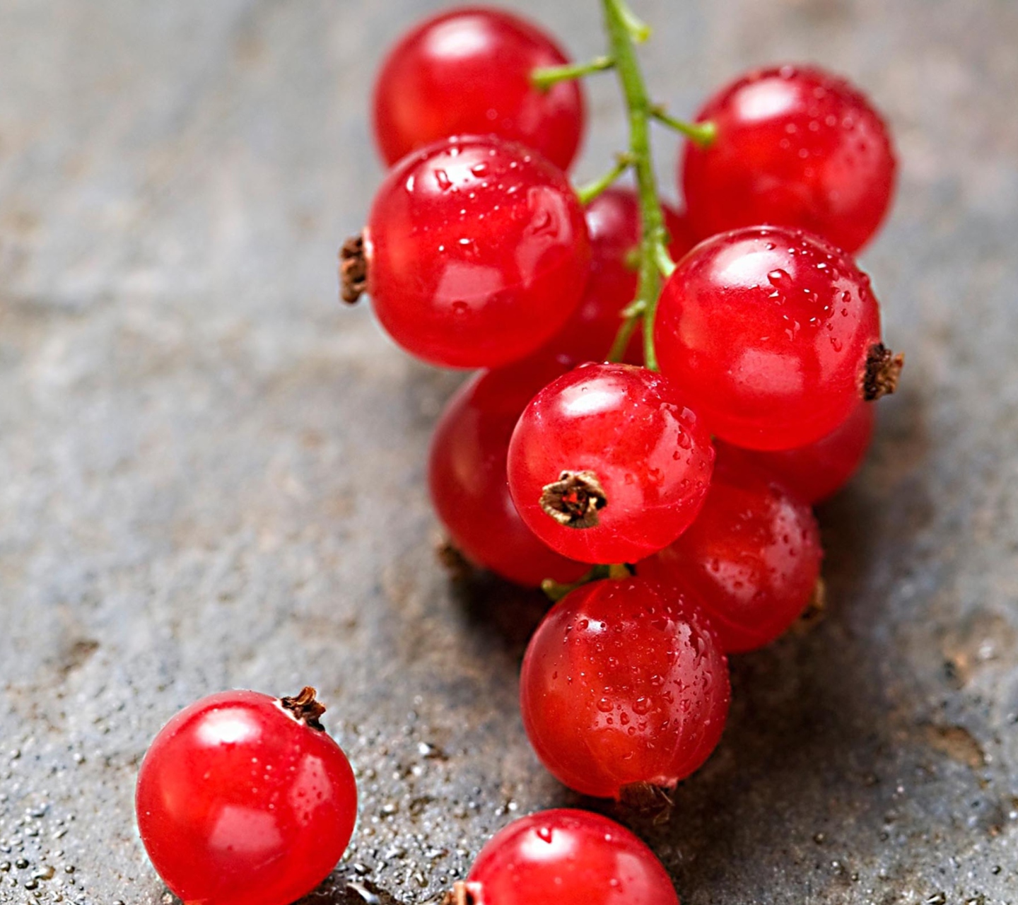 Обои Red Berries 1440x1280