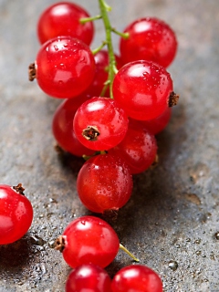 Das Red Berries Wallpaper 240x320