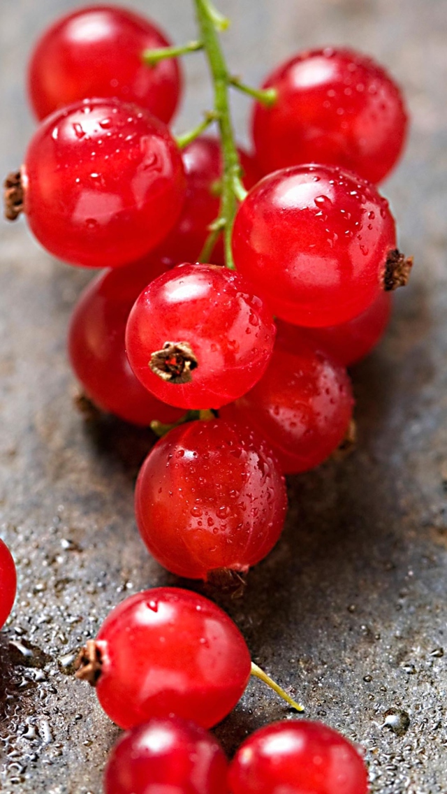 Das Red Berries Wallpaper 640x1136