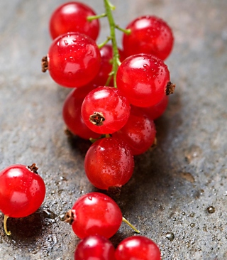 Red Berries - Obrázkek zdarma pro Nokia X3