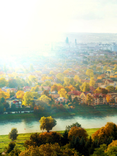 Dresden In Sun Lights screenshot #1 240x320