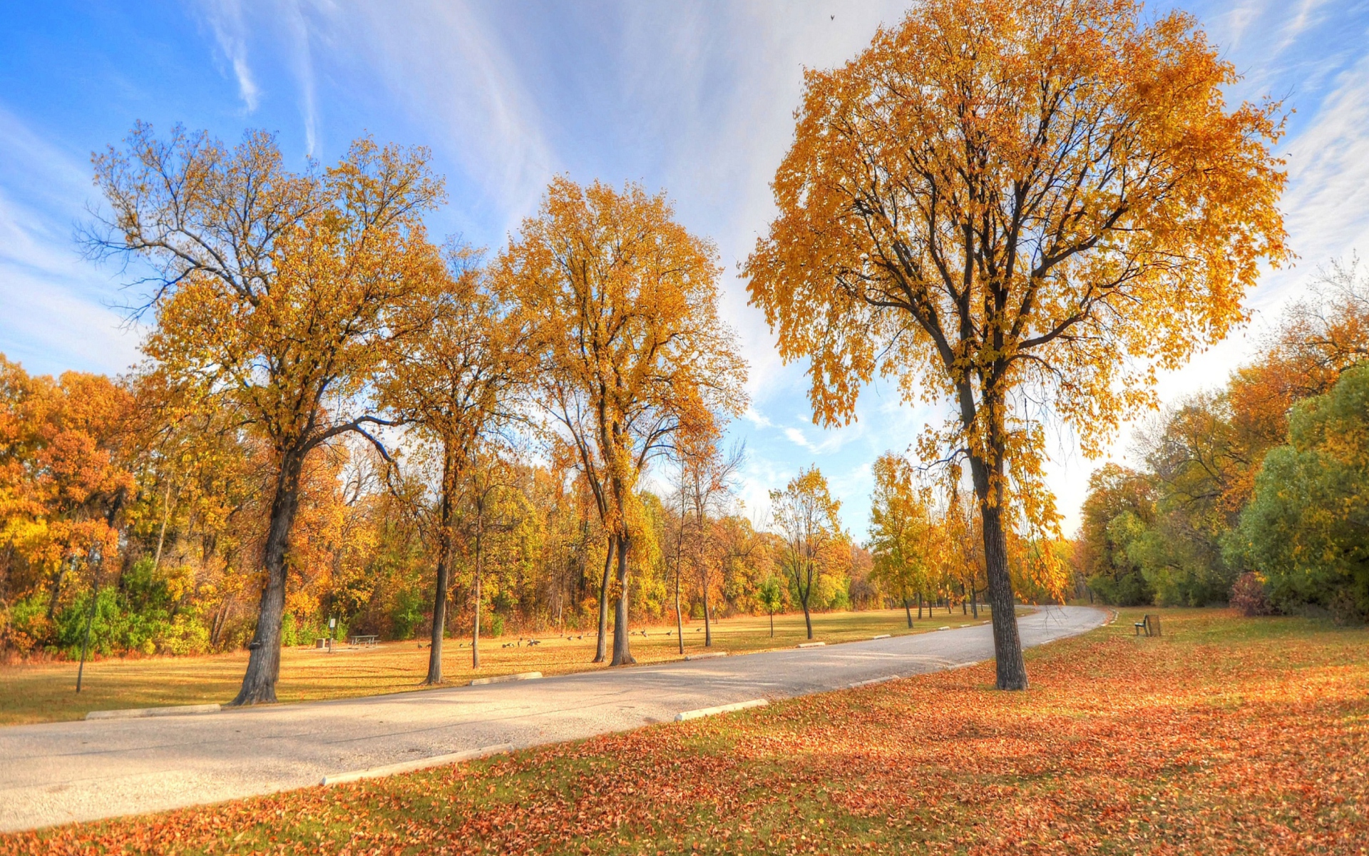 Fondo de pantalla Autumn Path 1920x1200