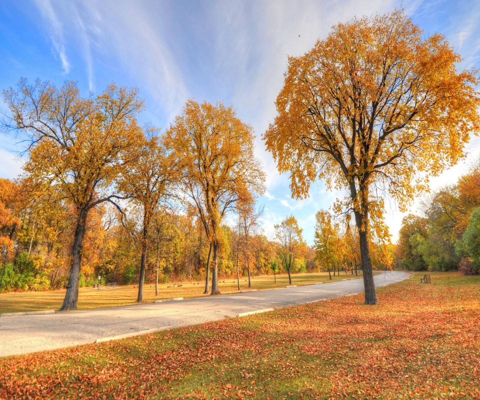 Fondo de pantalla Autumn Path 960x800