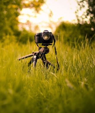 Camera In Grass - Obrázkek zdarma pro iPhone 6 Plus
