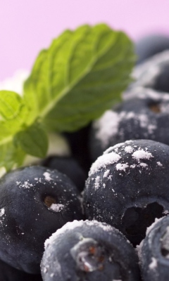 Frozen Blackberries screenshot #1 240x400