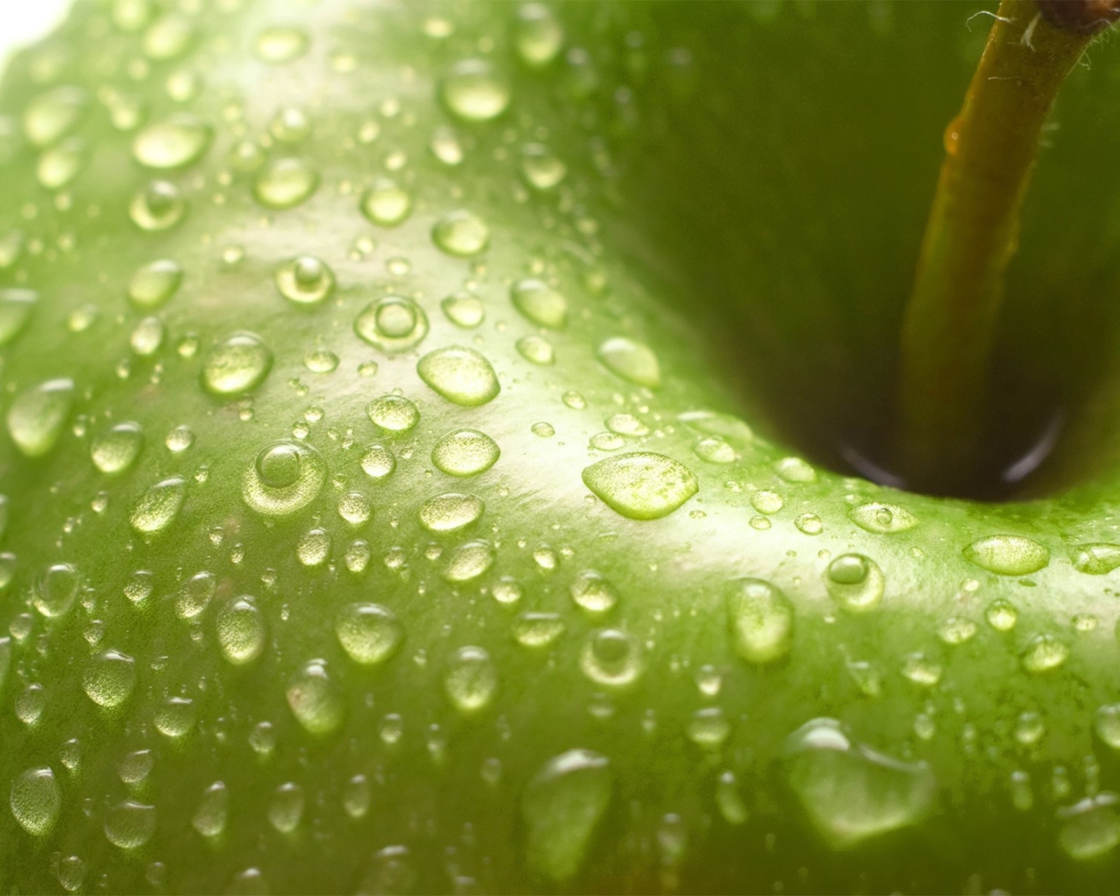 Screenshot №1 pro téma Water Drops On Green Apple 1600x1280