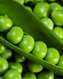 Обои Green Peas 128x160