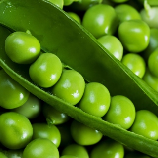 Green Peas Wallpaper for iPad 2