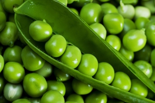 Green Peas - Obrázkek zdarma pro Nokia X2-01