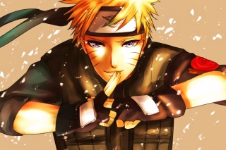 Naruto Anime - Obrázkek zdarma pro 320x240