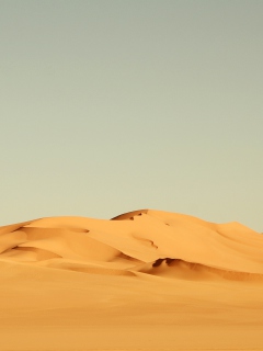 Screenshot №1 pro téma Sahara Desert 240x320