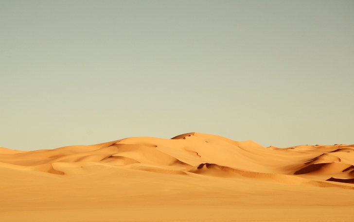 Обои Sahara Desert