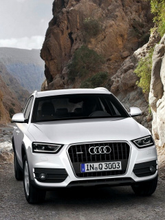 Sfondi Audi Q5 240x320