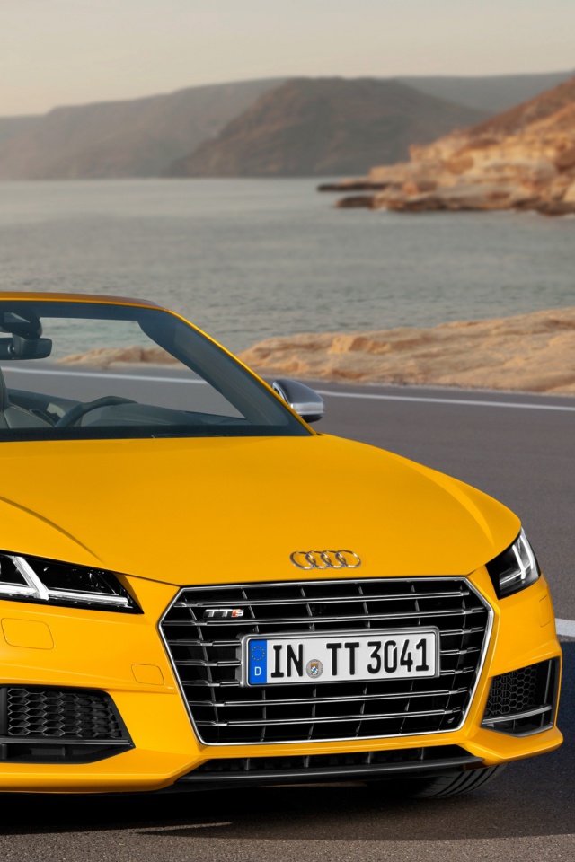 Screenshot №1 pro téma Audi TTS TT Roadster 2014 640x960