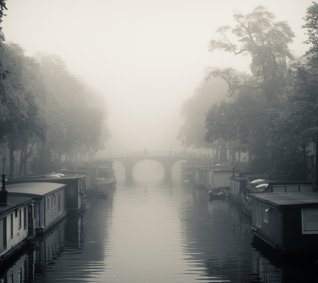 Misty Autumn In Amsterdam screenshot #1 1080x960