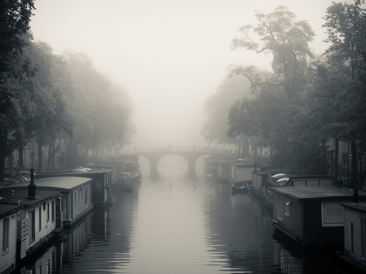 Misty Autumn In Amsterdam screenshot #1 1280x960