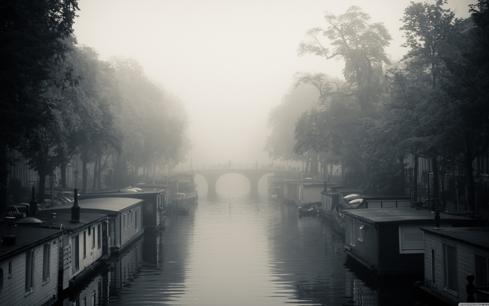 Screenshot №1 pro téma Misty Autumn In Amsterdam 1680x1050