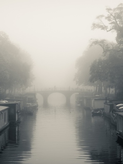 Screenshot №1 pro téma Misty Autumn In Amsterdam 240x320