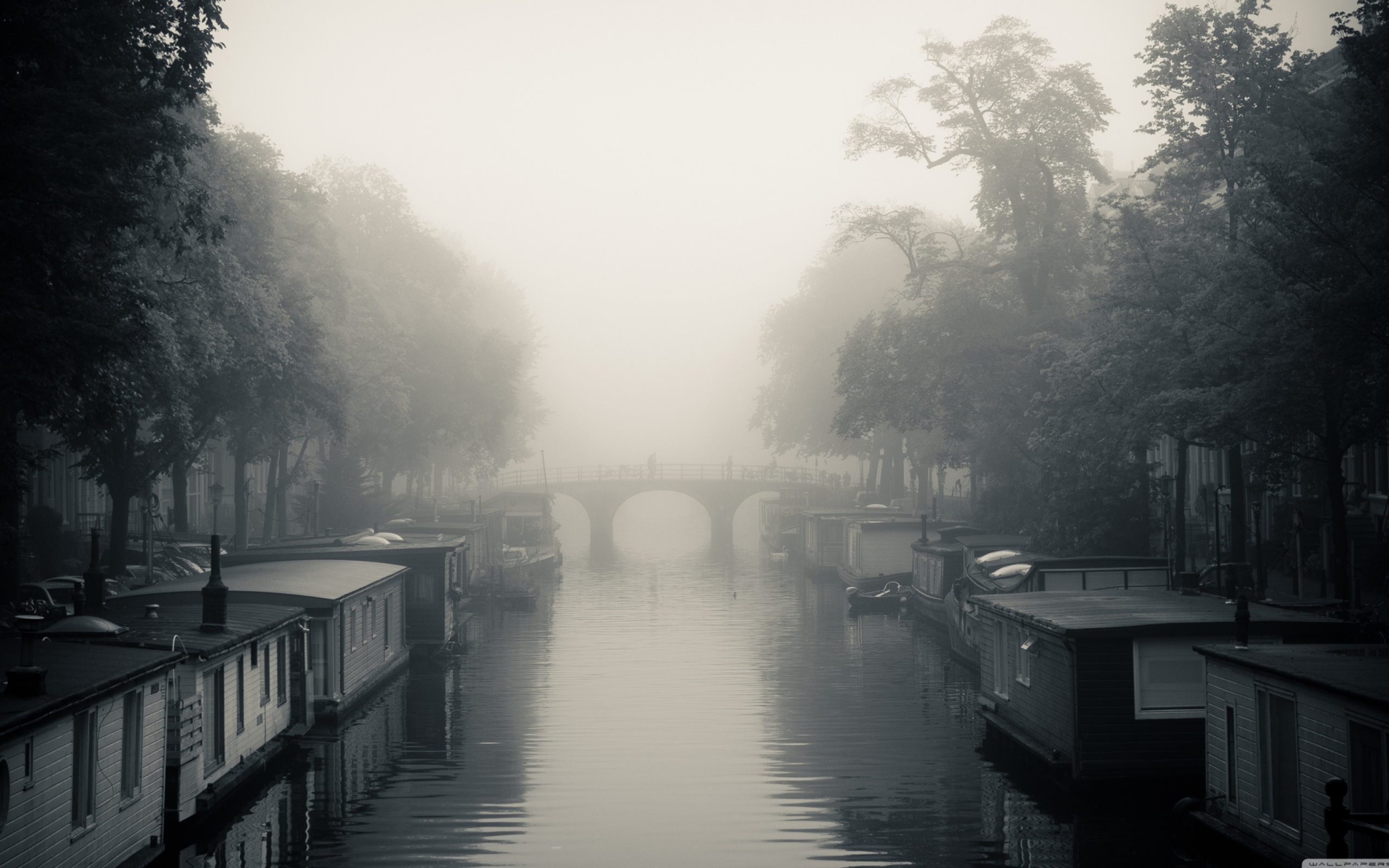 Screenshot №1 pro téma Misty Autumn In Amsterdam 2560x1600