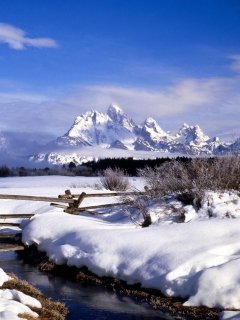 Screenshot №1 pro téma Grand Tetons in Winter, Wyoming 240x320