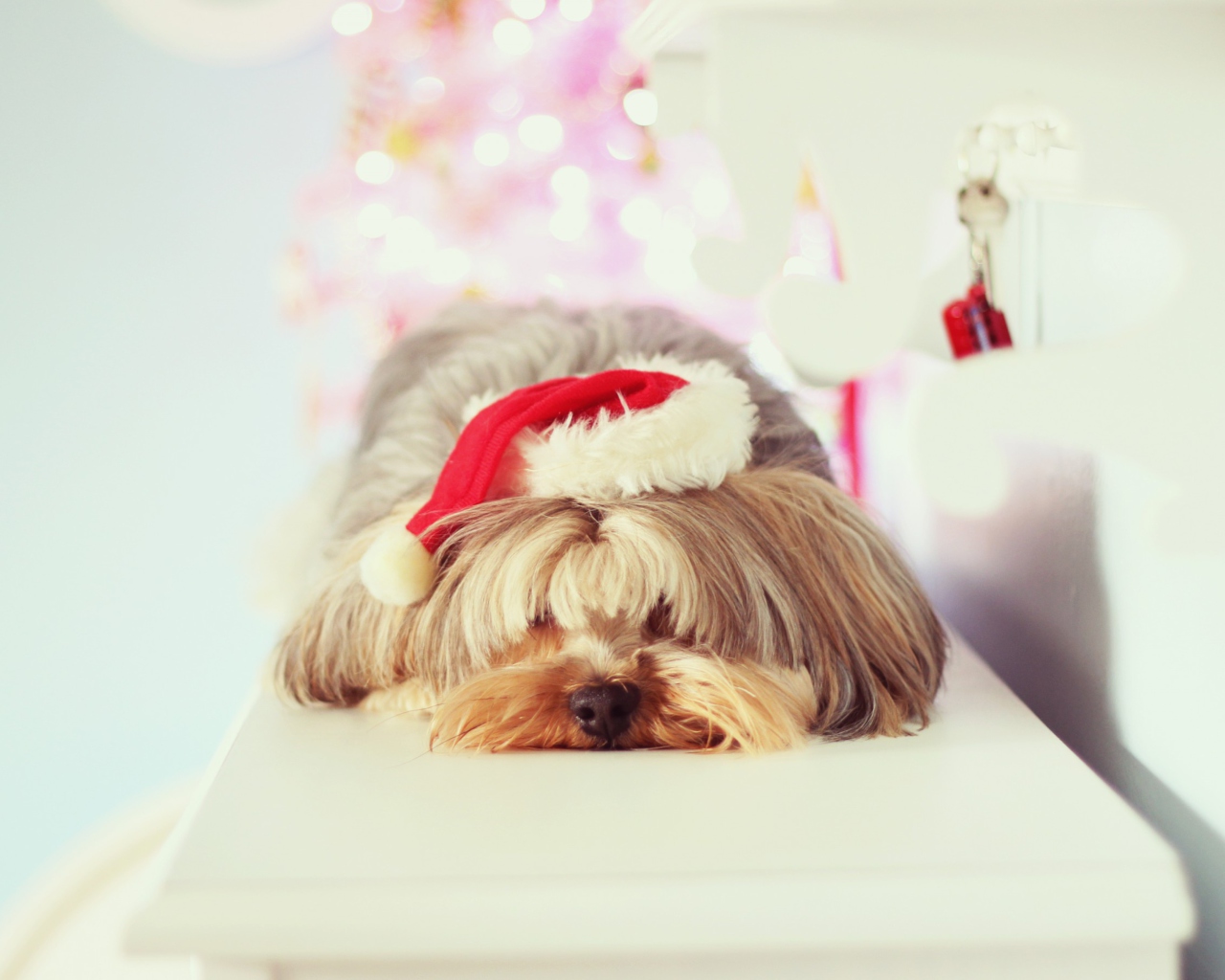 Screenshot №1 pro téma Christmas Puppy 1280x1024