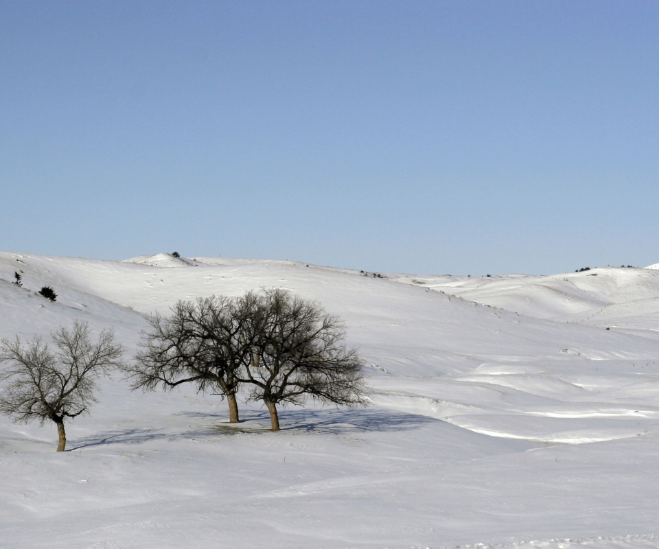 Sfondi Snowscape 960x800