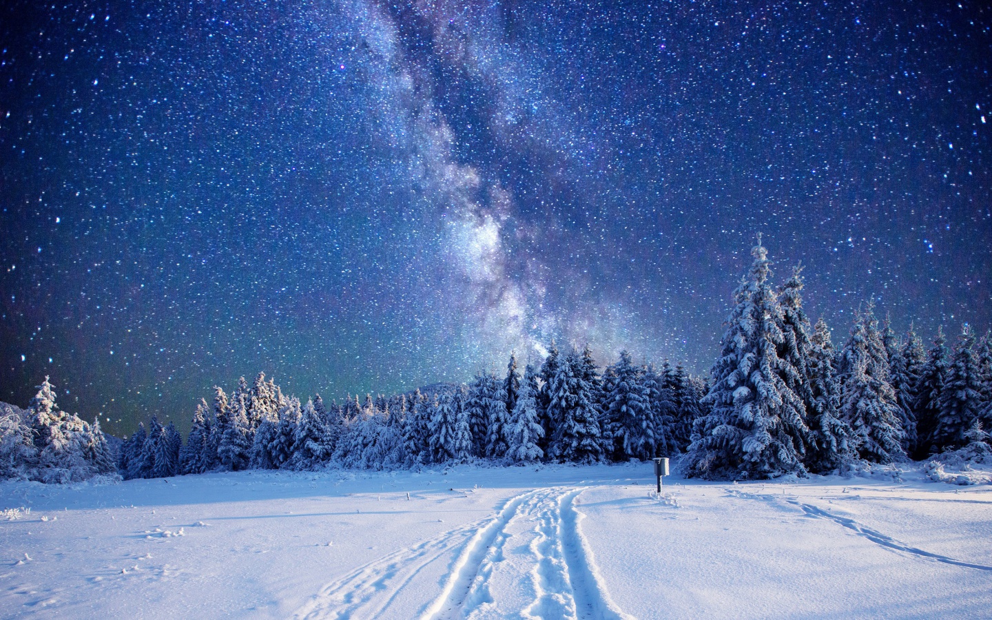 Screenshot №1 pro téma Milky Way on Winter Sky 1440x900