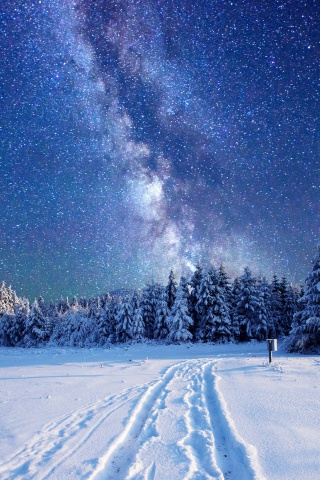Screenshot №1 pro téma Milky Way on Winter Sky 320x480