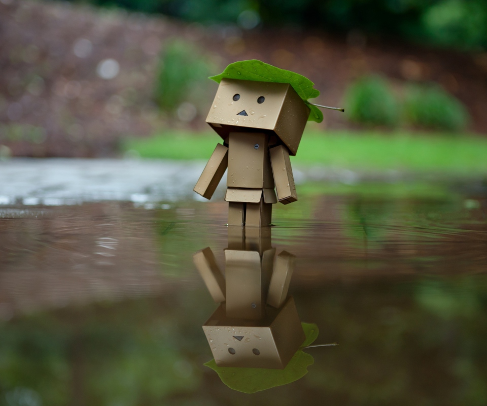 Danbo And Autumn wallpaper 960x800