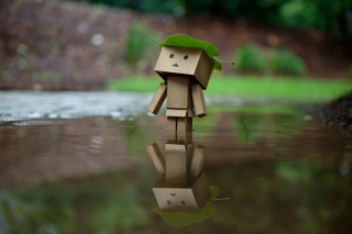 Danbo And Autumn Background for Android, iPhone and iPad