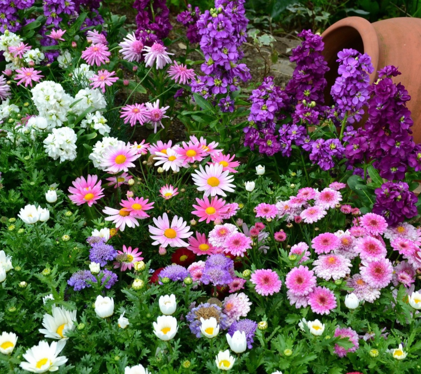 Sfondi Colorful Garden 1440x1280