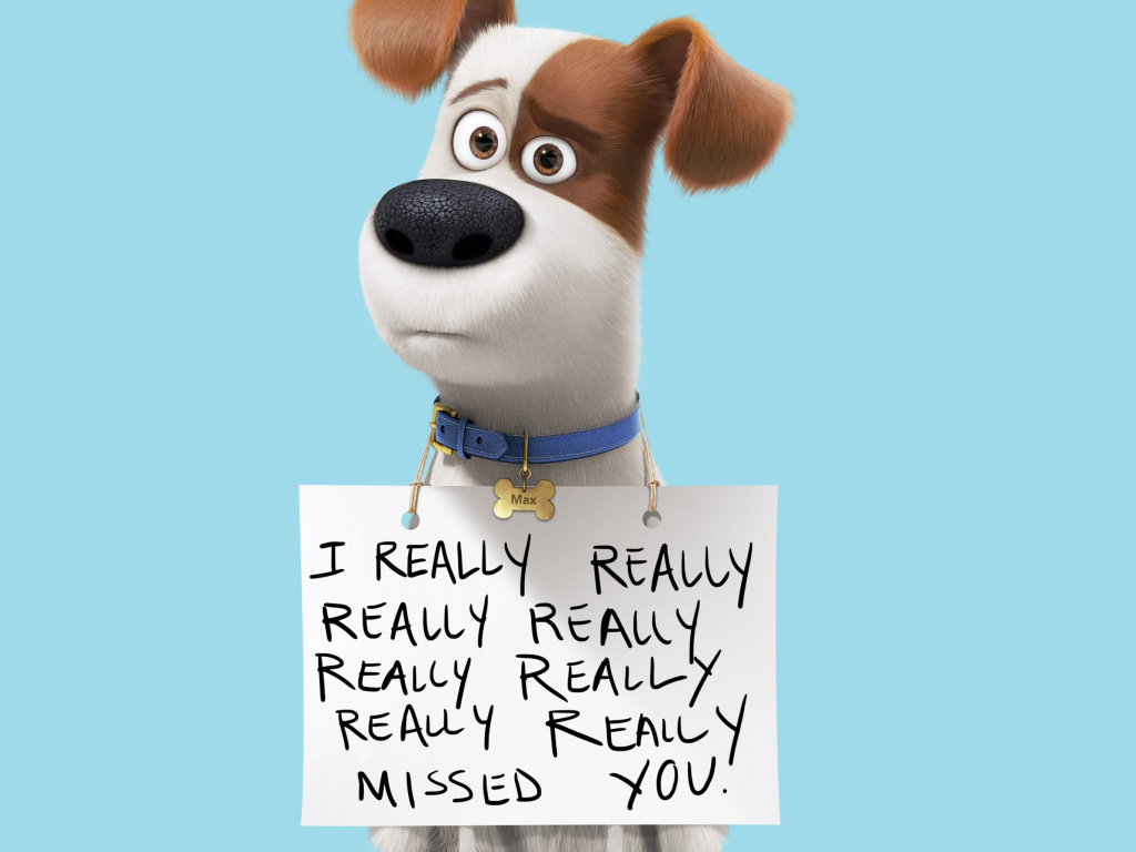 Max from The Secret Life of Pets wallpaper 1024x768