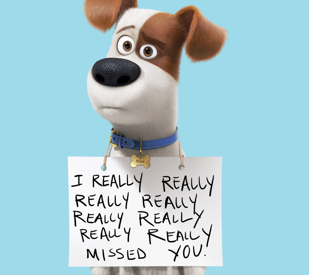 Das Max from The Secret Life of Pets Wallpaper 1080x960