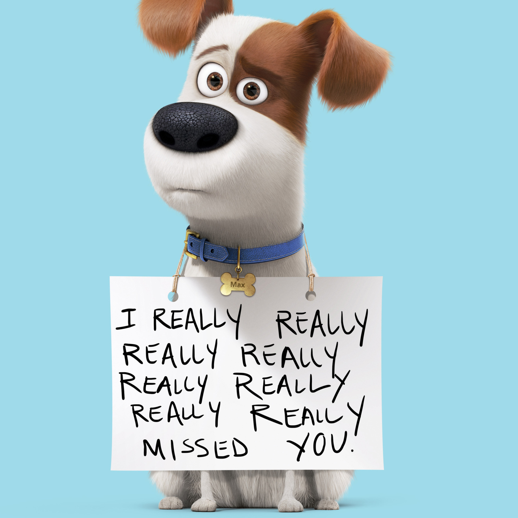 Обои Max from The Secret Life of Pets 2048x2048